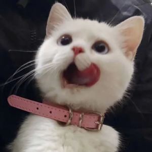 别人早上醒来起床时是这样的