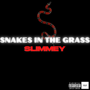 Snakes In The Grass (Explicit)