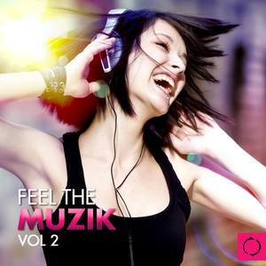 Feel the Muzik, Vol. 2