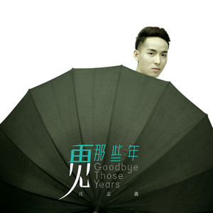 再见那些年 (伴奏)