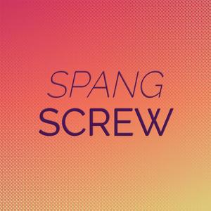 Spang Screw