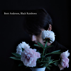 Black Rainbows