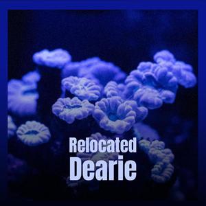 Relocated Dearie