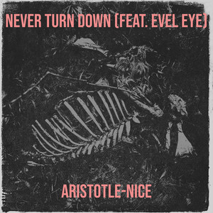 Never Turn Down (Explicit)