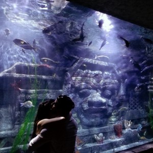 Social Suicide (Explicit)