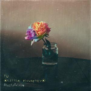 Tu(little blueberry)