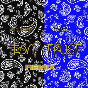 Ion Trust (feat. Crip Mac) (Radio Edit|Explicit)