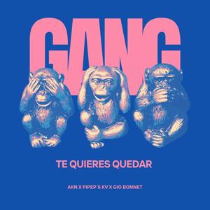 Te quieres quedar (feat. Pipep's Kv & Gio Bonnet) [Explicit]