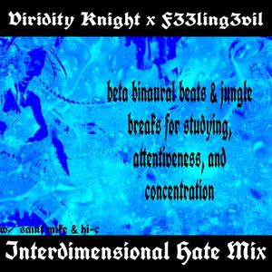 Interdimensional Hate Mix (feat. F33LING3VIL & SAINT MIKE)