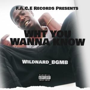 What You Wanna Know (Explicit)