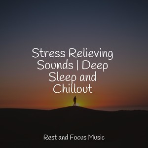 Stress Relieving Sounds | Deep Sleep and Chillout