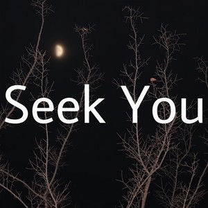 Seek You (Single Version)