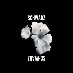 Schwarz.