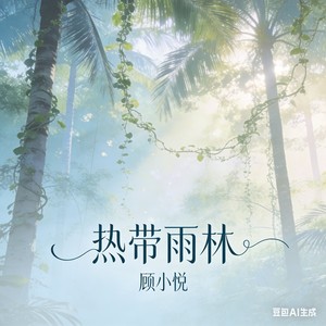 热带雨林封面