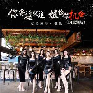 你要追就追姐给你机会 (DJ默涵版)