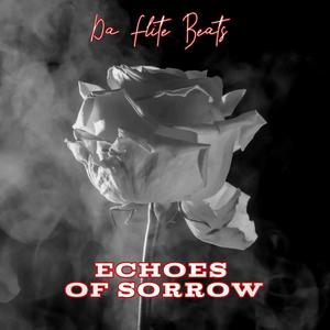 Echoes Of Sorrow