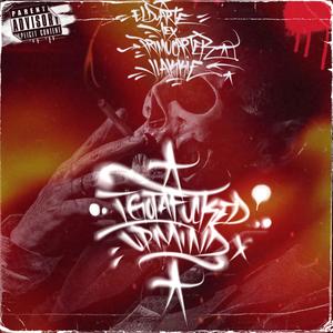 I GOT A ****ED UP MIND (feat. FT PRIMO CARTER / VLACKKIE) [Explicit]
