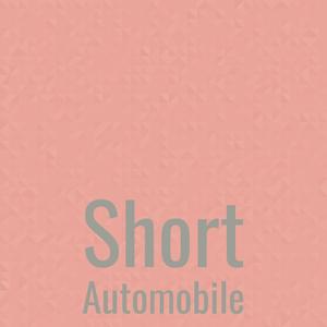 Short Automobile