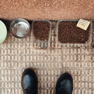 Mario Miguel - Hombre urbano