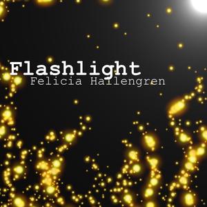 Flashlight