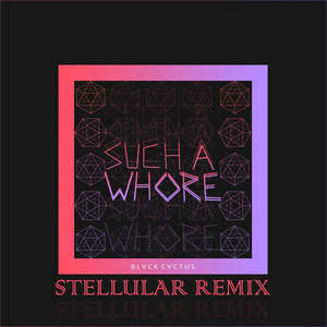 Such a W***e (Stellular Remix|Explicit)封面