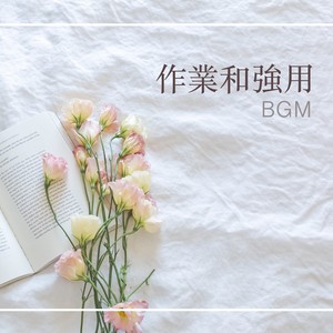 作业和强用BGM - 2019 学习音乐大全