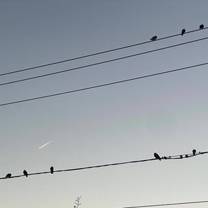 Going down Swinging 3 (Explicit)