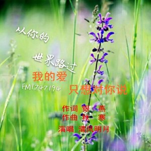 我的爱只想对你说