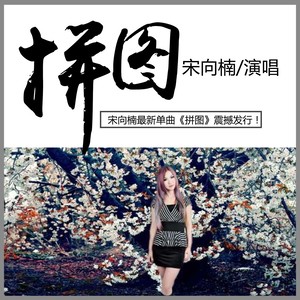 拼图
