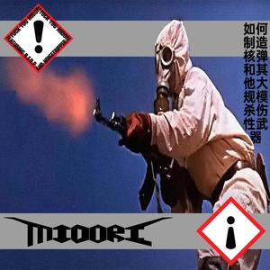 Hip Hop Ragga Gabba (feat. Kerb Krawler & Big Fat Diva Pussy)