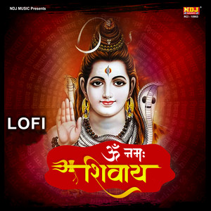 Om Namah Shivay LOFI