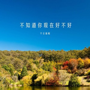 晚星就像你的眼睛杀人又放火