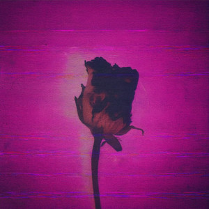 Middle East Nights (Mufti Remix)