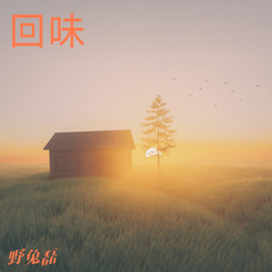 我的眼里只有你