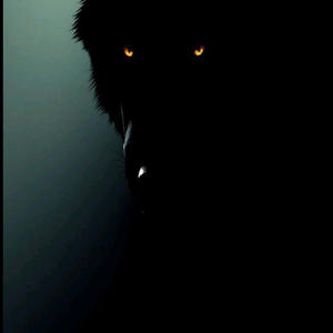 Wolves Come At Night (Explicit)