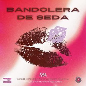 BANDOLERA DE SEDA