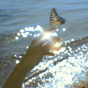 逝去的爱（逝去的爱已逝去）