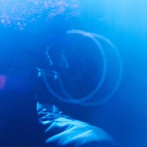 look at what i did (Explicit)