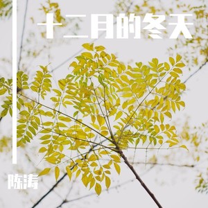 十二月的冬天 (伴奏)