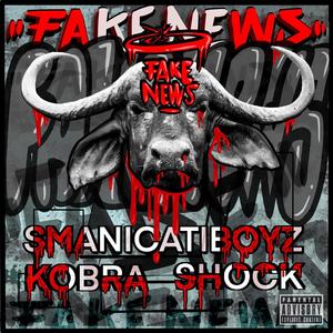 FAKE NEWS (feat. Kobra Shock) (Explicit)