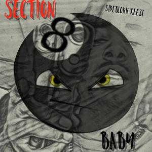 Section 8 Baby (Explicit)