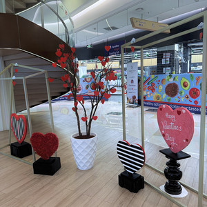 Romance Binge (Explicit)