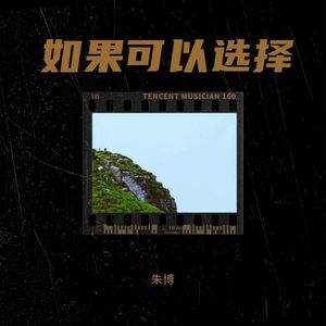 如果可以选择