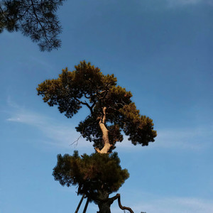 割舍 - 拉过勾的 (前奏纯享)