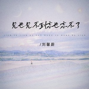 见也见不到忘也忘不了