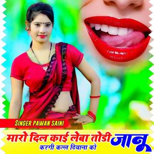 Maro Dil Kayi Lewa Todi Janu Krgi Ktl Deewana Ko