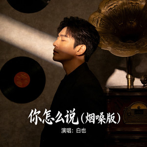 你怎么说 (烟嗓版)封面