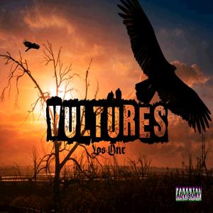 Vultures (Explicit)