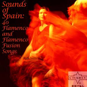 Spanish Summer: 30 Flamenco and Flamenco Fusion Songs