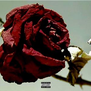 Shirley's Outro (Explicit)